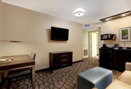 Embassy Suites by Hilton/ Fallsview - 87