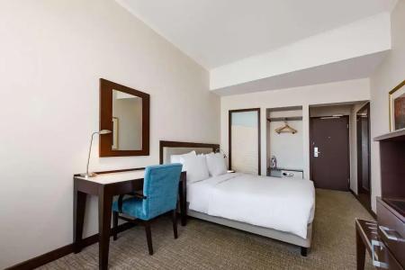 Radisson Blu Ankara - 44