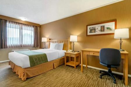 Econo Inn & Suites - - 44