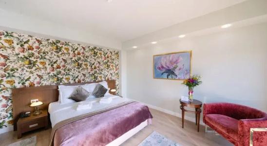 Phoenicia Comfort - 39