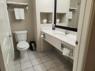 Oyo Townhouse Houston Brookhollow - 21