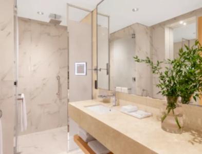 Adagio Premium The Palm - 36
