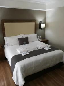 Historico Central, Fine Coffee Shop & Walking tour included - 80