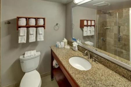 Hampton Inn Miami-Coconut Grove/Coral Gables - 69