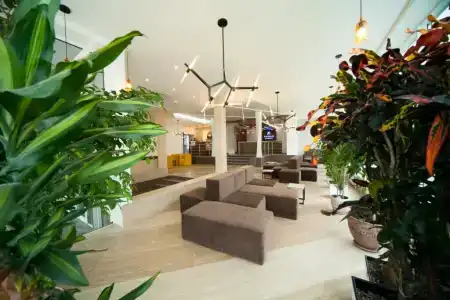 Бальнеологический курорт PARUS Medical Resort & Spa - 1