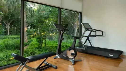 Banyan Tree - 88