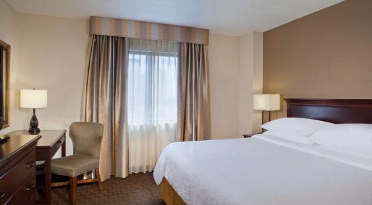 Embassy Suites by Hilton Dallas Near the Galleria - 54