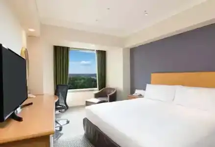 Hilton Tokyo Narita Airport - 35