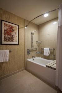 Hilton Anatole - 65