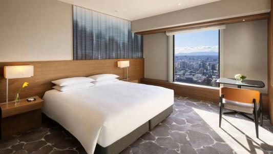 Hyatt Regency Tokyo - 31