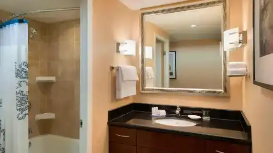 Residence Inn by Marriott Downtown / Entertainment District - 29