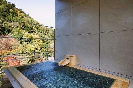 Arima Onsen Gekkoen Korokan - 41