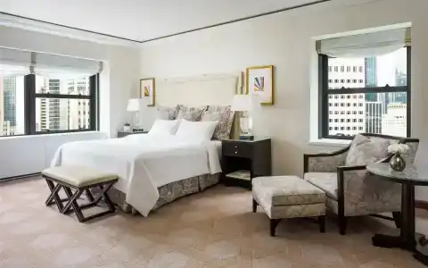 Lotte New York Palace - 100