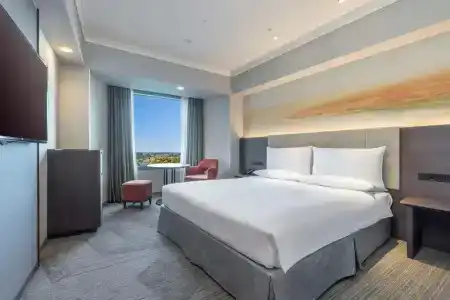 Hilton Tokyo Narita Airport - 3