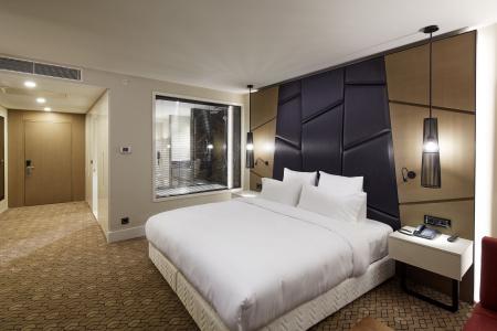 Pullman Istanbul & Convention Center - 34