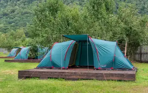 Груша - 14