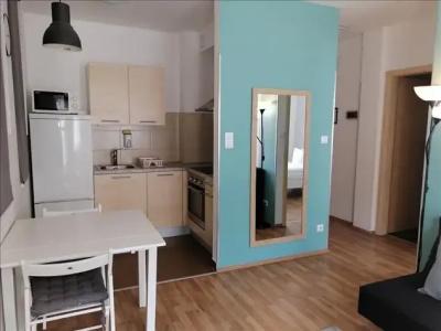 Corvin Center Suites - 81