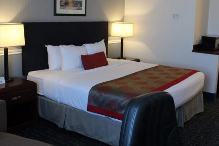 Ramada Plaza Airport and Conference Centre - 37
