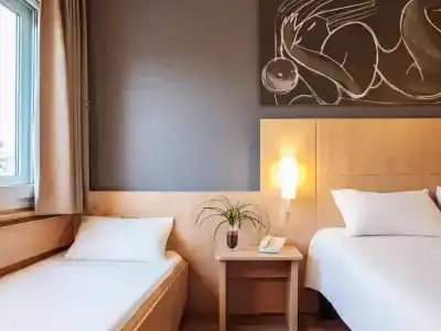 Ibis Cornella - 10