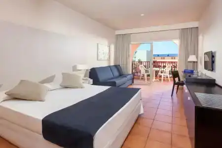Best Jacaranda - 47