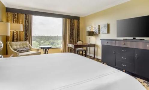 Omni Houston - 65