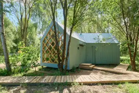 Клевер - 248