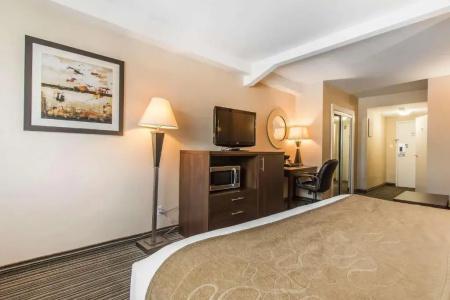 Comfort Suites Downtown - 29