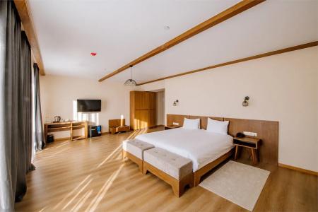 Gudauri Inn - 90
