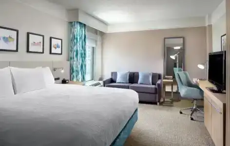 Hilton Garden Inn Atlanta-Buckhead - 49