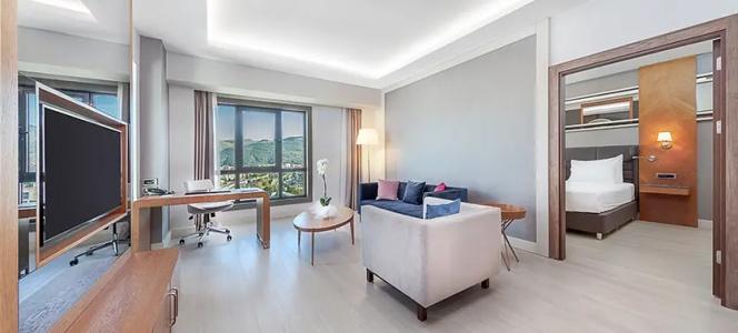 Dedeman Tokat - 47