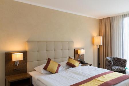 Sacher Baden - 17