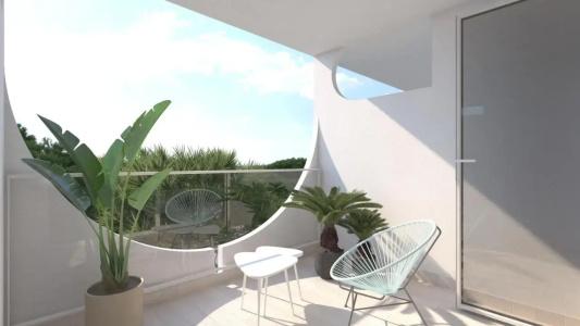 Vibra Palma Cactus - 5