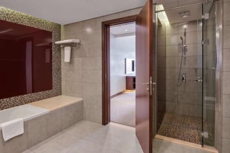 Radisson Blu, Dubai Waterfront - 61