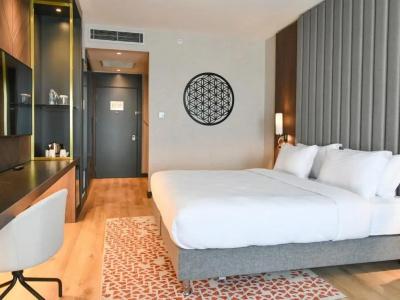 Crowne Plaza - Crowne Plaza Ankara, An Ihg - 41