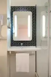 Ibis Cornella - 12