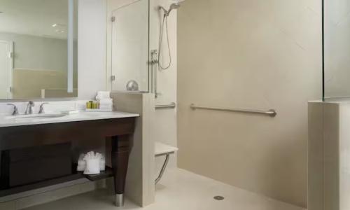 Signia by Hilton Orlando Bonnet Creek - 61