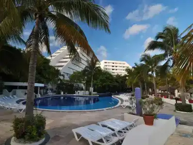 Oasis Palm - 21