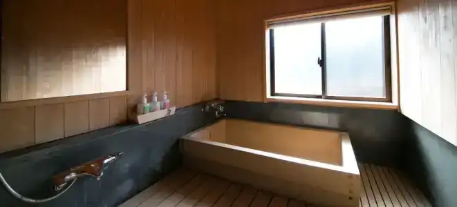 Fujiya Ryokan - 61