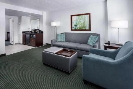 Embassy Suites by Hilton- Lake Buena Vista Resort - 62