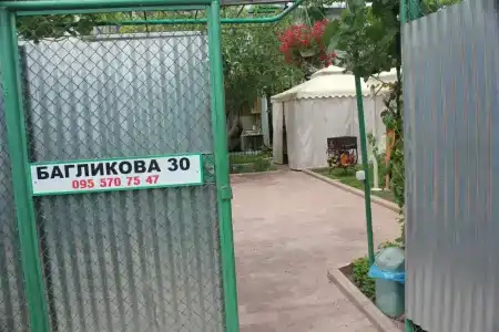 Сова - 9