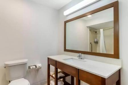 Comfort Suites Bush Intercontinental Airport - 32