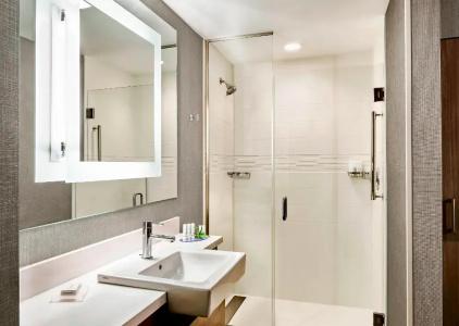 SpringHill Suites by Marriott San Diego Carlsbad - 3