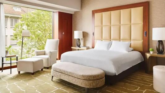 Park Hyatt Zurich – City Center Luxury - 116