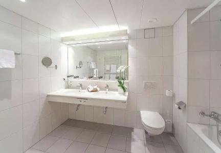 Sunstar & SPA Grindelwald - 61