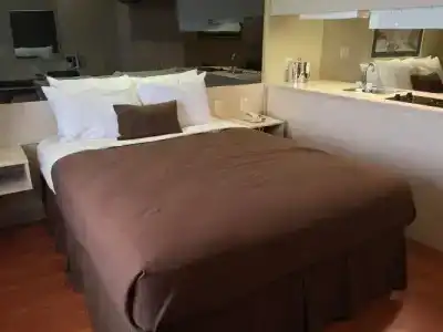 Quality Inn & Suites - - 33
