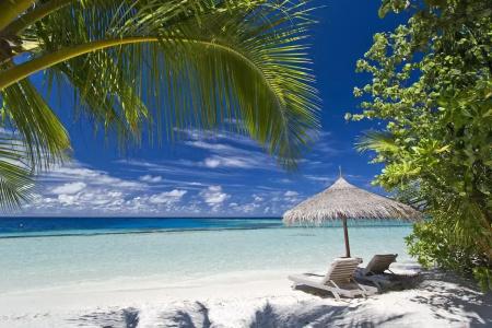 Gangehi Island Resort & Spa - 23