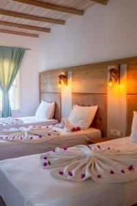 Historical Museum Resort - 38