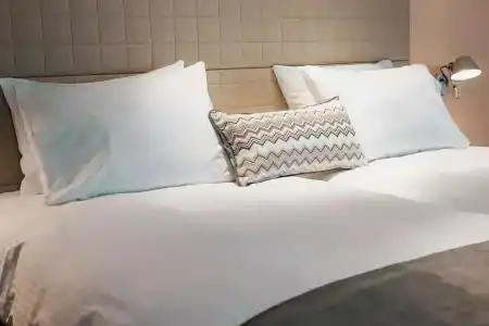 Domotel Olympia - 66