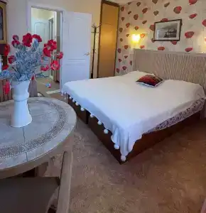 Кипарис на Красноармейском - 0