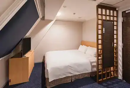 Sotetsu Fresa Inn Tokyo-Akasaka - 41